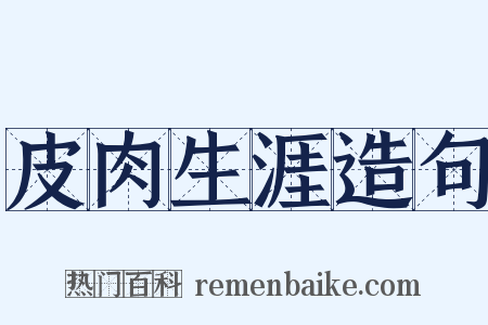 皮肉生涯造句是什么意思的图片